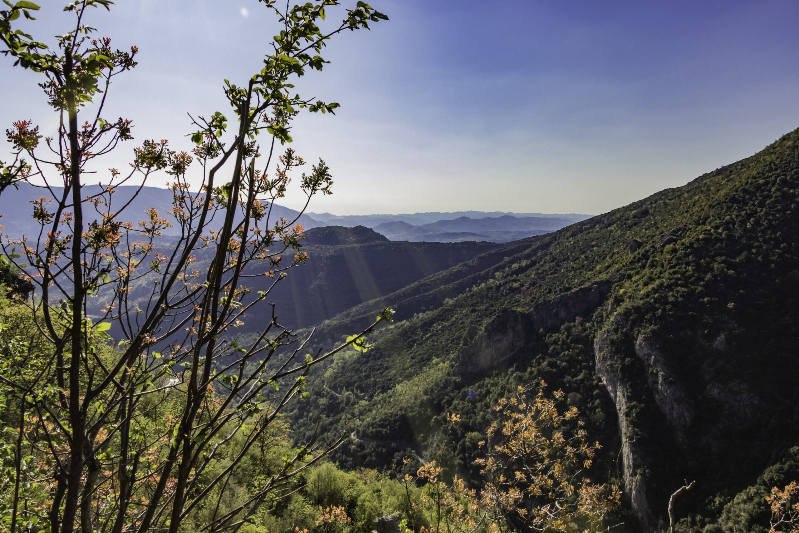 tn_IMG_7463 (2)
