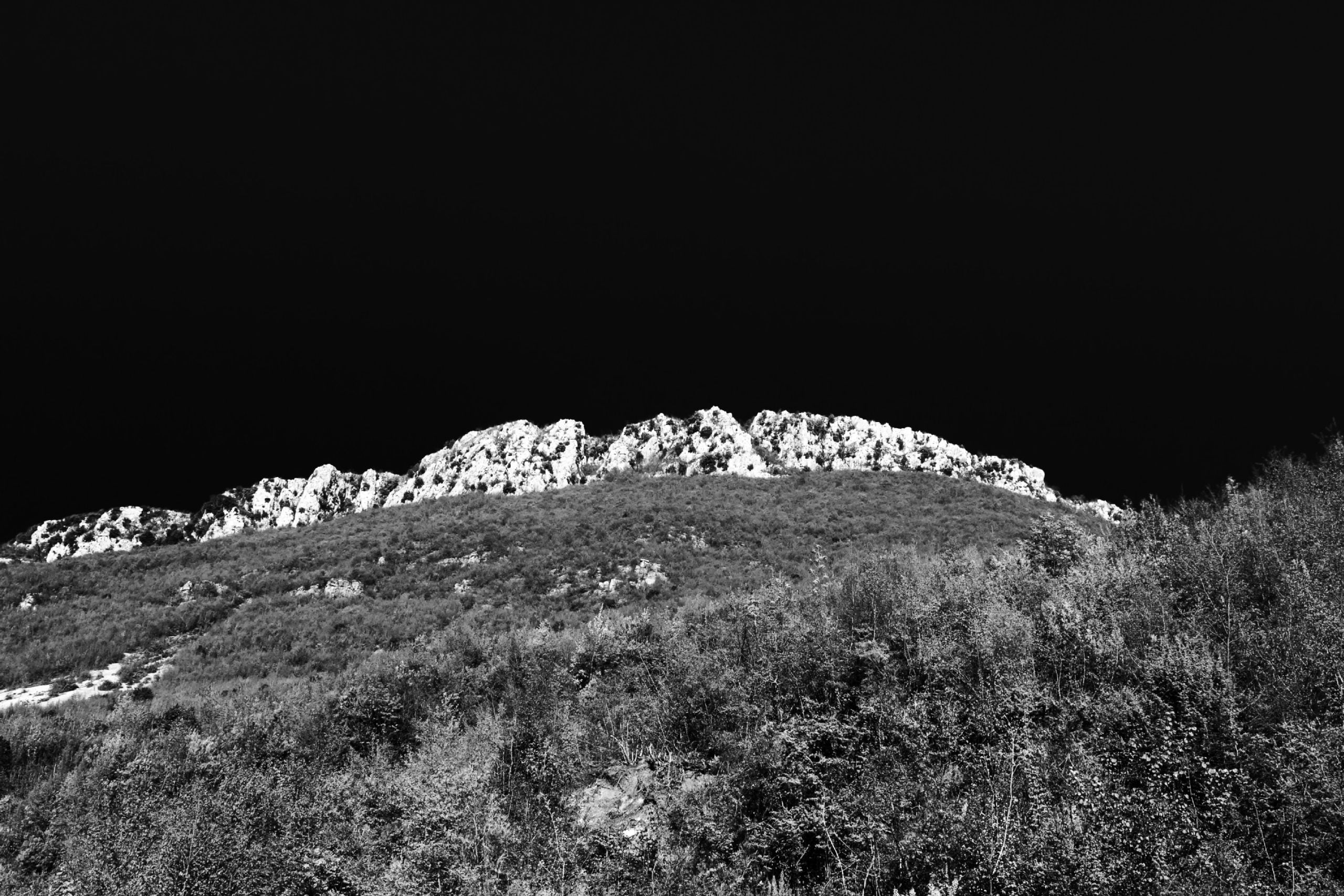 tn_IMG_7603